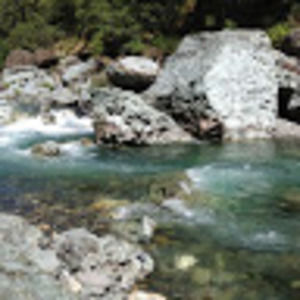 Meet your Posher, B.